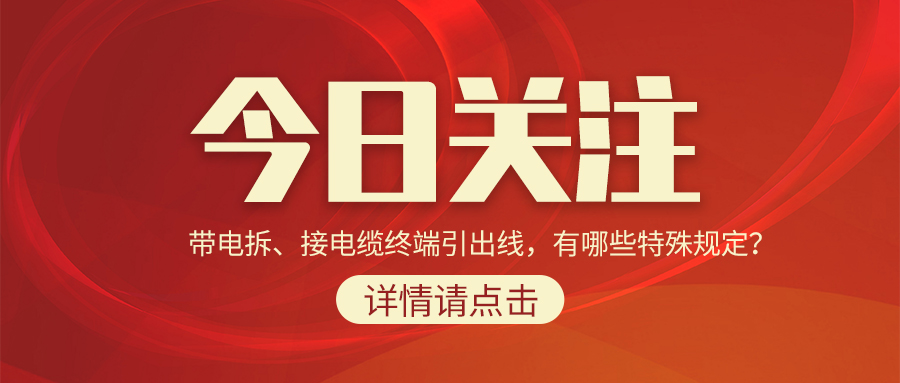 带电拆、接电缆终端引出线，有哪些特殊规定？